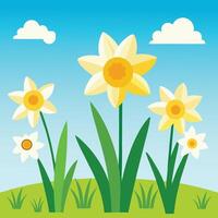 Springtime Daffodils in Bloom vector