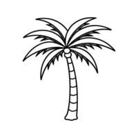 Black and White Line Drawing of a Palm Tree coconut palm vector