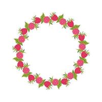 Round floral wreath with raspberry and foliage. Summer frame of pink berries and leaves. Decoration element for cards and seasonal decor, menu, recipe. flat illustration. vector