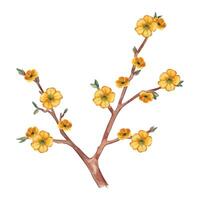 Blooming fantasy tree with yellow flowers, all objects are hand-painted with watercolor and isolated on a white background. Watercolor illustration. Suitable for printing on fabric, paper, cards vector