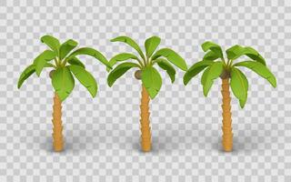 Palm Tree Cartoon Set with Tropical Leaves and Coconuts. Perfect for Summer, Beach, or Island Themes. Illustration vector
