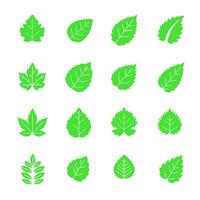 Flat style green leaf icons in solid color. Clean and modern set for eco-friendly projects and nature graphics vector