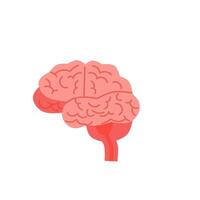 a brain is shown in a flat style vector