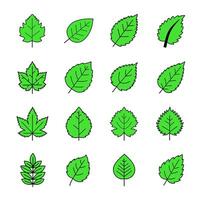 Bright green leaf icons with black outlines in various styles. Great for eco projects, organic branding, and illustrations vector