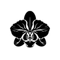 Phalaenopsis orchid flower silhouette with intricate details, simple graphic style, against a white background. Concept of nature and elegance vector