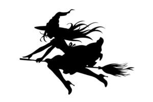 Halloween witch is flying on a broomstick on white background. illustration. Scene is mysterious and magical vector