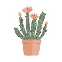A blooming cactus in a terracotta pot drawn in a simple style on a white background, representing nature and indoor plant decor vector
