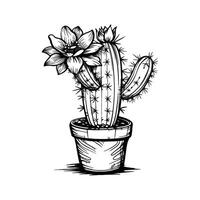 A detailed cactus with flowers in a pot, illustrated in a line art style on a plain background, representing nature's beauty vector