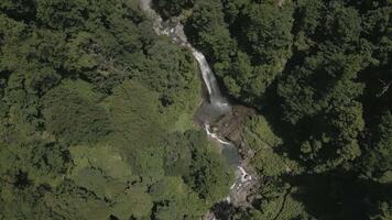 Tropical waterfall cuts through vibrant green jungle from above, captured by drone showcasing remote nature, fresh water, and untouched ecosystem video