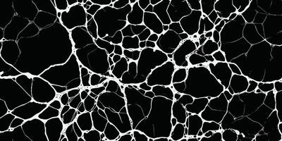 a black and white background with cracks or abstract spider web line texture vector