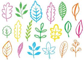 Seamless colorful floral pattern with leaves, a natural and vibrant design element for spring and summer decorations vector
