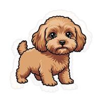 Cutre Cavapoo Graphic Illustration vector