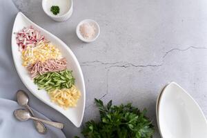 A modern flatlay of okroshka, chopped ingredients on a sleek white dish with condiments on a soft gray backdrop. photo