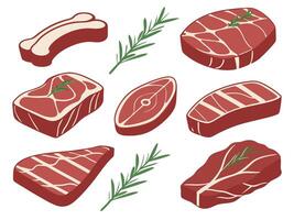 illustration of different types of raw steak cuts and rosemary sprigs on white background vector