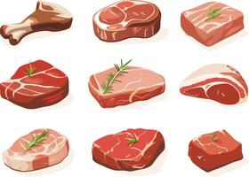 Illustrated collection of various cuts of fresh raw beef presented with rosemary sprigs for visual appeal vector