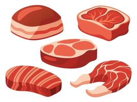 Assortment of various cuts of raw meat in cartoon style for culinary and food related design vector