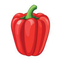Isolated of a Single Shiny Red Bell Pepper with Green Stem on White Background vector