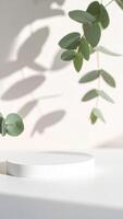 Minimalist Display Featuring a Circular Pedestal and Green Leaves in Soft Light on a Neutral Background photo