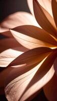 Delicate Pink Flower Petals Illuminated by Soft Light Create a Serene Ambiance in a Natural Setting photo