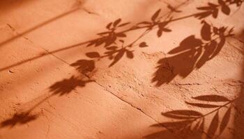 Shadows of Foliage Cast on Textured Surface During Golden Hour in a Sunlit Setting photo