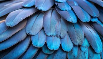 Captivating Blue Feathers of a Bird Displaying Intricate Texture and Vibrant Colors on a Close-Up Shot in Natural Light photo
