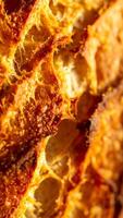 Close-up of Freshly Baked Bread Showcasing a Crunchy Crust and Airy Interior During Golden Hour photo