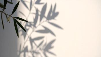 Shadows of Olive Leaves Cast on a White Wall During the Warm Afternoon Light in a Tranquil Outdoor Setting photo