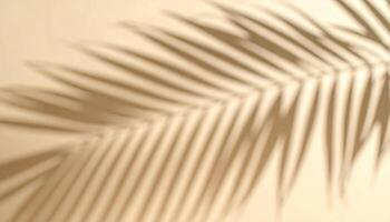 Shadow of a Palm Leaf Creating a Calming Effect on a Light Wall in a Sunlit Room photo