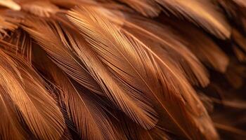 Detailed Close-Up of Textured Brown Feathers Showcasing Intricate Patterns and Hues in Natural Light photo