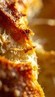 Close-up View of Freshly Baked Bread Showcasing Its Golden Crust and Soft Interior in a Warm Kitchen Environment photo