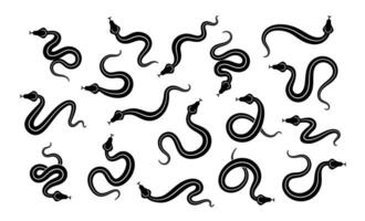 Snake silhouette. Isolated snake black silhouette set on white background. Wild Dangerous Animals. Symbol of 2025. Ink illustration for design. vector