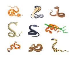 Venomous snakes set. Indian cobra, black mamba, copperhead, Viper, milk snake, Reptile drawing. Realistic 3D isometric style. set. Concepts of wildlife, and animals. vector