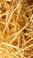 Detailed Look at Golden Straw Texture Under Warm Lighting in a Rustic Setting photo