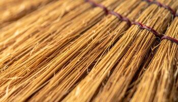 Crafting Brooms With Natural Fibers in a Workshop During Daytime Hours in a Rural Area photo