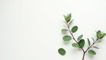 Simple Botanical Accent with Subtle Detail photo