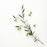 Olive branch with green olives on white background top view photo