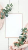 Blank white paper with eucalyptus leaves on a white wooden table top view photo