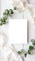Blank white card with eucalyptus leaves on white background photo