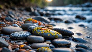 River Stones Covered with Moss at Dusk Peaceful Natural Environment photo
