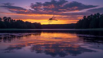 Dragonfly Flying Over Lake at Sunset with Colorful Sky Reflection photo