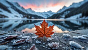 Maple Leaf on Frosty Log at Mountain Lake During Winter Sunset photo
