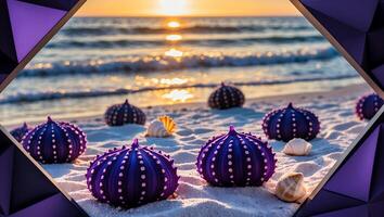 Sea Urchins and Seashells on Sandy Beach at Sunset photo