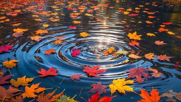 Floating Autumn Leaves on Calm Lake Water with Reflected Sunlight photo