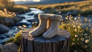 Cozy Knit Socks on Tree Stump Beside Creek in Nature photo