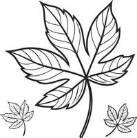 Serene Black and White Line Drawing of Autumn Leaves Isolated on White Background, Featuring Detailed Veins and Elegant Simplicity vector