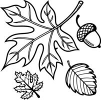 Serene Autumnal Leaf and Acorn Illustration A Black and White Drawing of Falling Leaves and an Acorn in Peaceful Fall Setting vector