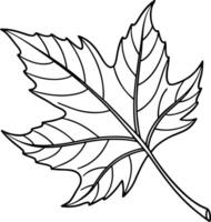Serene Black and White Line Drawing of a Single Maple Leaf Isolated on White Background, Autumnal Mood vector