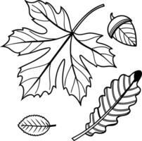 Serene Autumn Leaves and Acorn Coloring Page A Peaceful Fall Scene for Creative Relaxation - Professional digital artwork with vibrant colors and detailed composition vector
