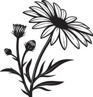 Elegant Black and White Daisy Flower Illustration with Buds, Blooming in a Serene Garden Setting vector