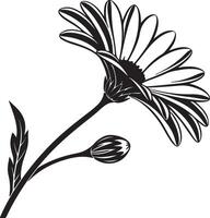 Elegant Black and White Daisy Flower Blooming in Serene Garden Setting A Stylish Botanical Illustration vector
